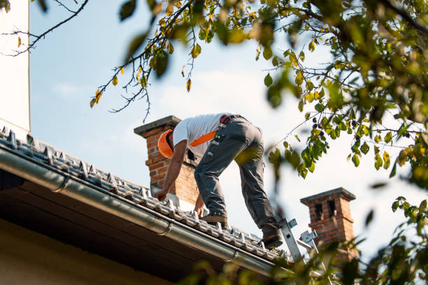 Best Roof Restoration Services  in Calhoun City, MS