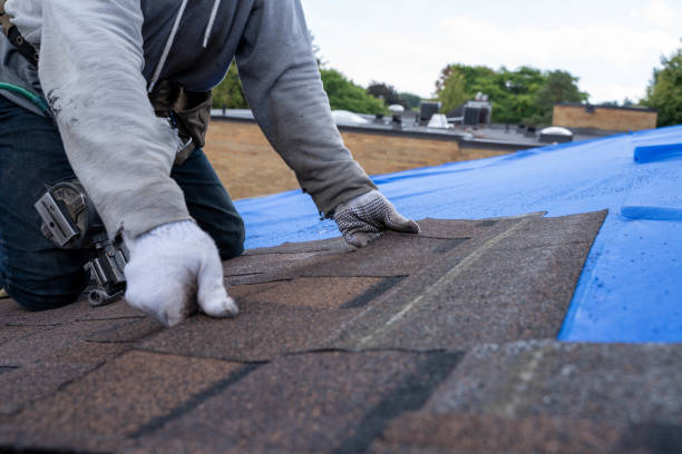 Best Shingle Roofing Installation  in Calhoun City, MS