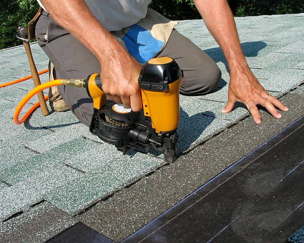 Best Roof Gutter Cleaning  in Calhoun City, MS
