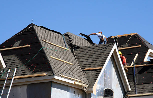 Best Roof Repair Services  in Calhoun City, MS