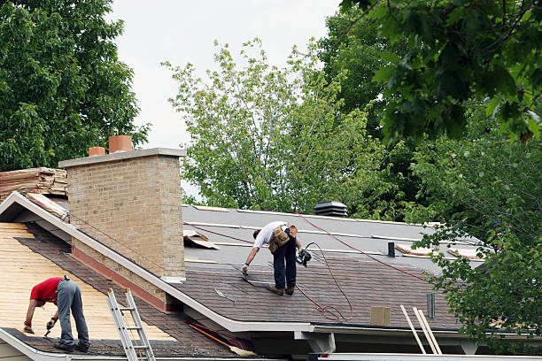 Roof Gutter Cleaning in Calhoun City, MS