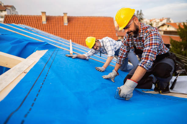 Best Metal Roofing Contractor  in Calhoun City, MS